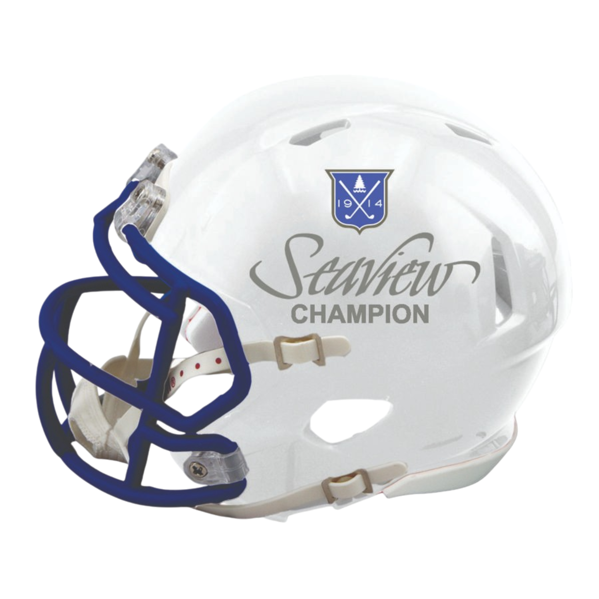 Custom Replica Full Size Football Helmet