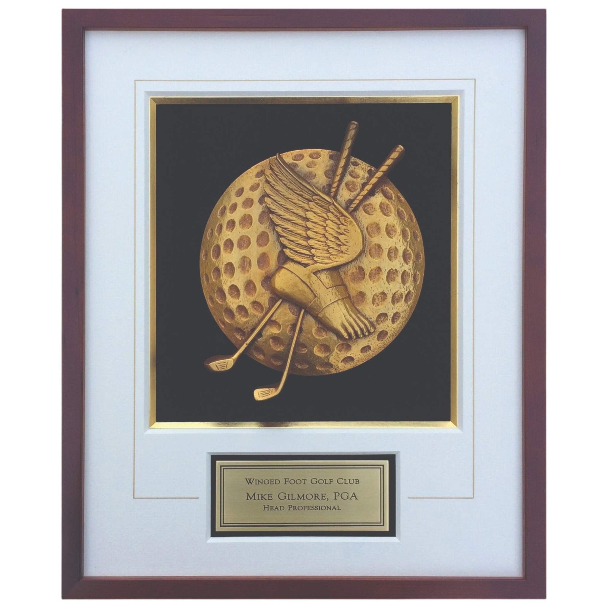 Custom Framed Shadow Box with Gold and Antiqued 3D, Gold Filet and Engraved Brass Plate